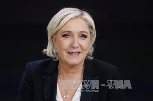 ការបោះឆ្នោតប្រធានាធិបតីបារាំង៖សភាអឺរ៉ុបពិចារណាលើការដកហូតអភ័យឯកសិទ្ធិរបស់លោកស្រី Le Pen - ảnh 1